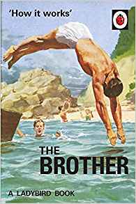 How it Works: The Brother (Ladybird for Grown-Ups)
