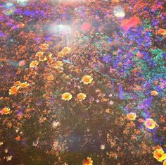Garden Flowers Framed Wall Art