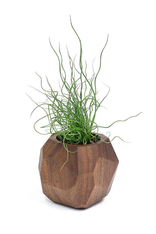 Geometric Wooden Planter Earth