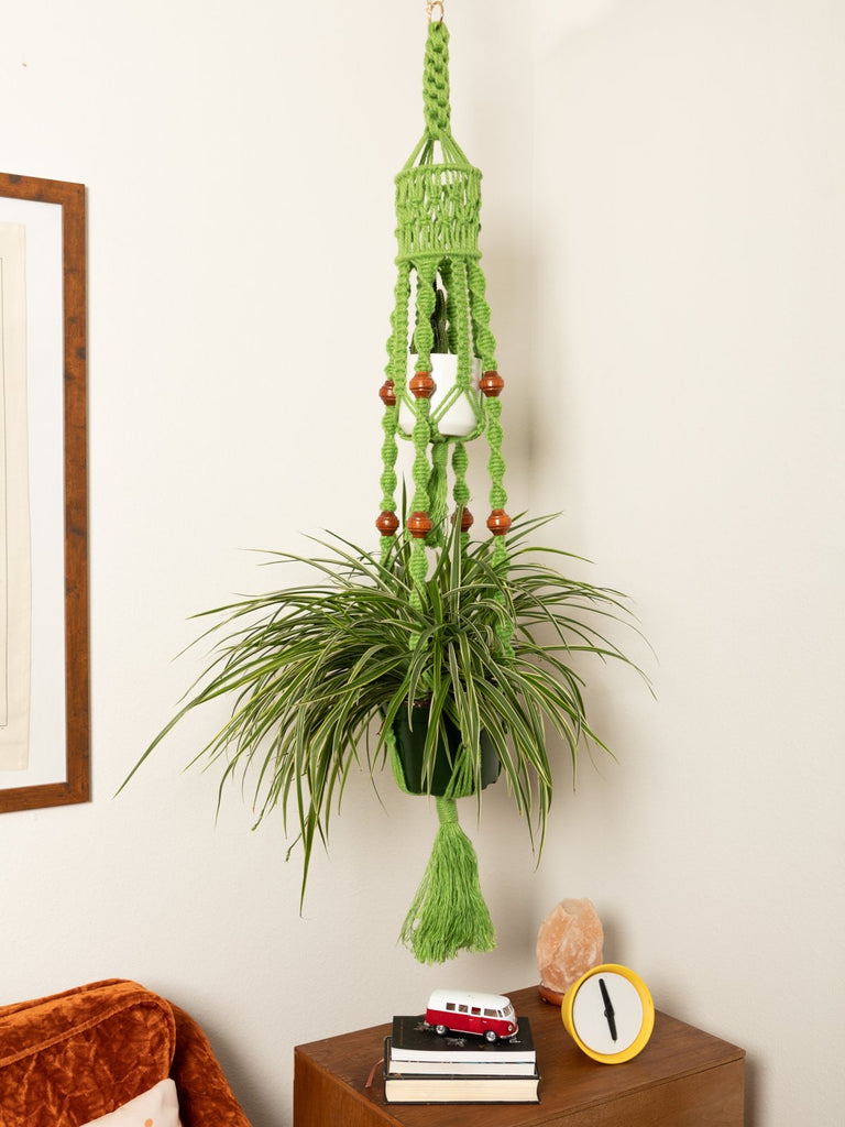 double plant hanger macrame Green Macrame Double Plant Hanger