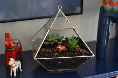 Air Terrarium Kit Pyramid Top Glass Terrarium